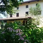 Fiori Di Maggio