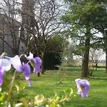 Fiori Di Maggio Panzió 3*