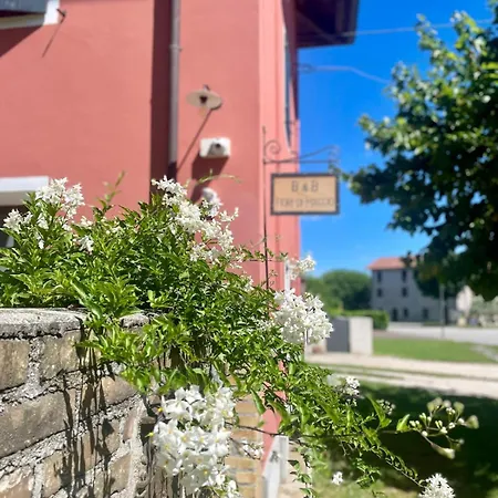 Fiori Di Maggio Muscletto