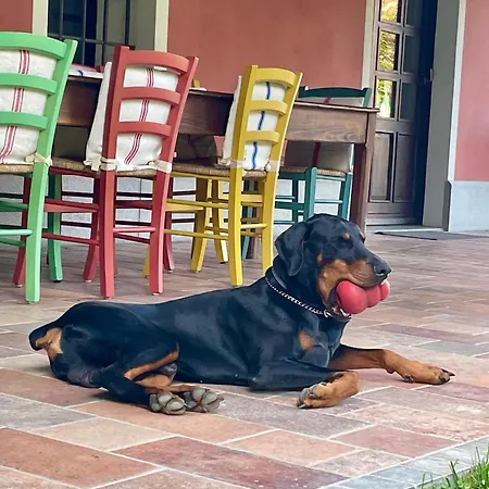 Fiori Di Maggio Bed & Breakfast