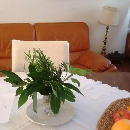 Fiori Di Maggio Muscletto