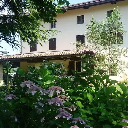 Fiori Di Maggio
