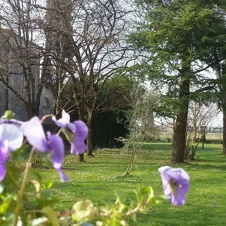 Fiori Di Maggio Bed and breakfast 3*