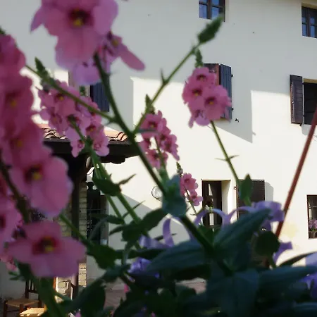 Bed and Breakfast Fiori Di Maggio