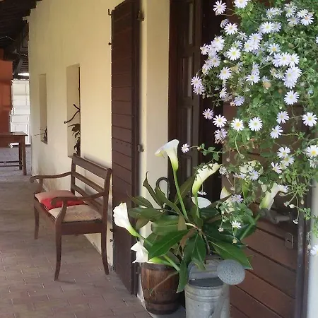 Fiori Di Maggio