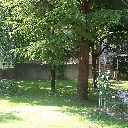 Fiori Di Maggio Muscletto