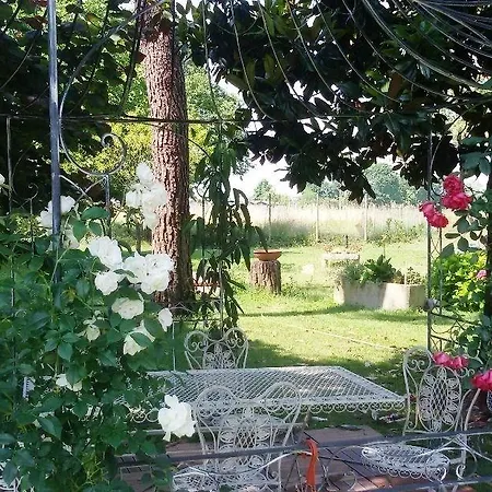 Fiori Di Maggio Bed & Breakfast Muscletto