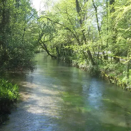 Bed & Breakfast Fiori Di Maggio Muscletto