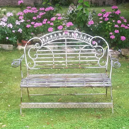 Fiori Di Maggio Muscletto