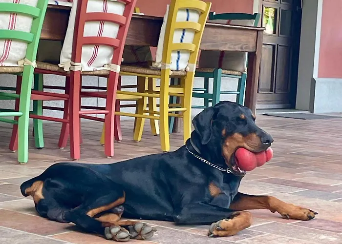 Fiori Di Maggio Panzió