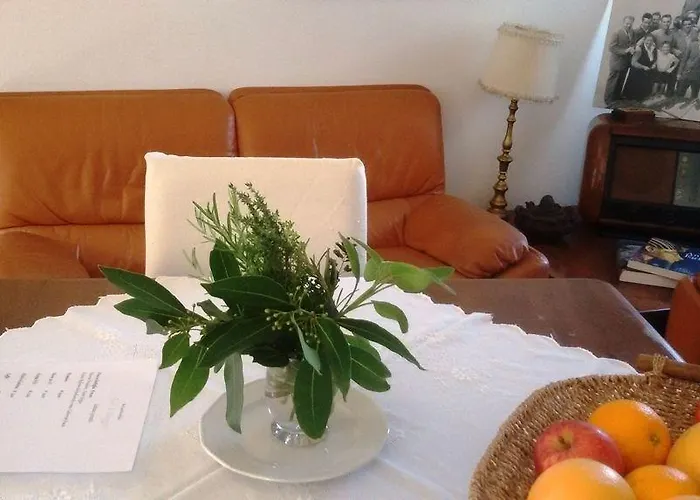 Fiori Di Maggio Muscletto